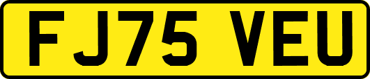FJ75VEU
