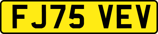 FJ75VEV