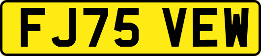 FJ75VEW