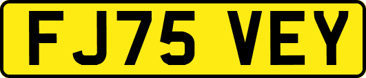 FJ75VEY
