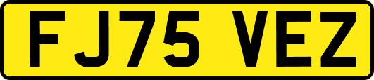 FJ75VEZ