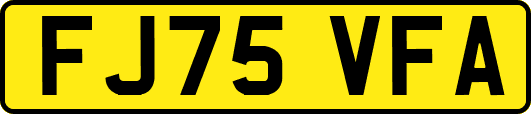 FJ75VFA