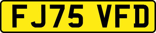 FJ75VFD