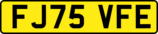 FJ75VFE