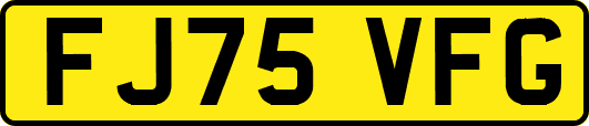 FJ75VFG