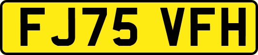 FJ75VFH