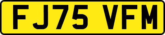 FJ75VFM