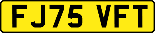 FJ75VFT