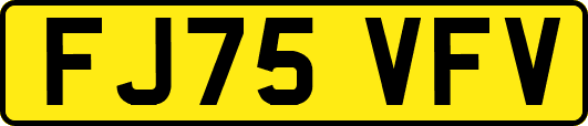FJ75VFV