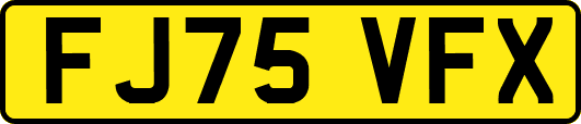 FJ75VFX