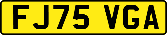 FJ75VGA
