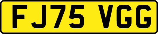 FJ75VGG