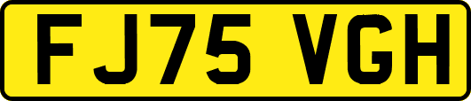 FJ75VGH