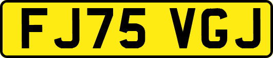 FJ75VGJ