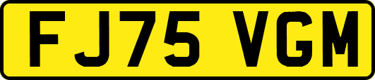 FJ75VGM