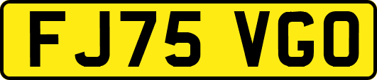 FJ75VGO
