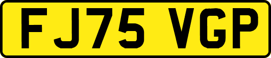 FJ75VGP