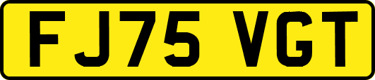 FJ75VGT