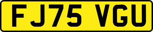 FJ75VGU