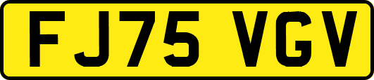 FJ75VGV