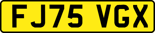 FJ75VGX