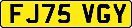 FJ75VGY