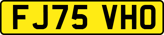 FJ75VHO