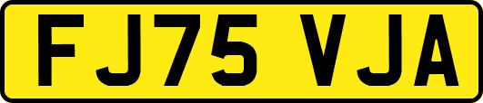FJ75VJA
