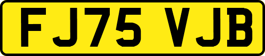 FJ75VJB