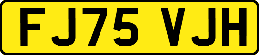 FJ75VJH
