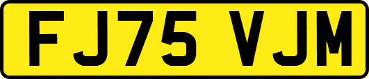FJ75VJM