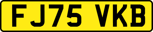 FJ75VKB