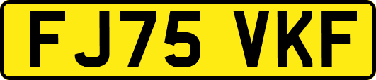 FJ75VKF