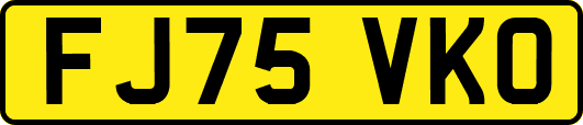 FJ75VKO