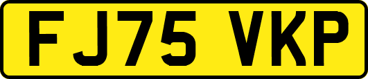 FJ75VKP