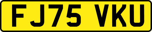 FJ75VKU