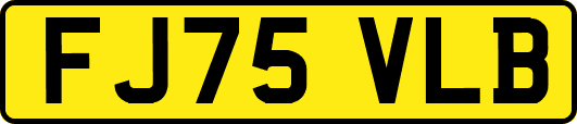 FJ75VLB