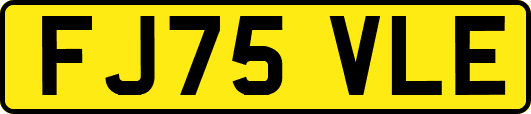 FJ75VLE