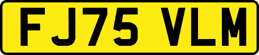 FJ75VLM