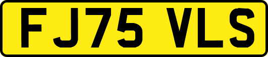 FJ75VLS