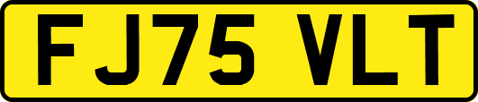 FJ75VLT