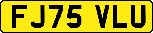 FJ75VLU