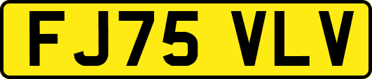 FJ75VLV