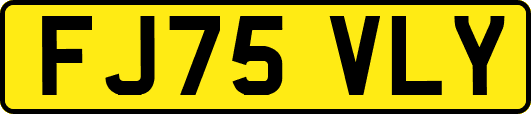 FJ75VLY