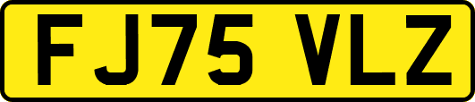 FJ75VLZ