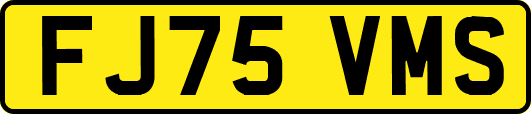 FJ75VMS