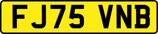 FJ75VNB