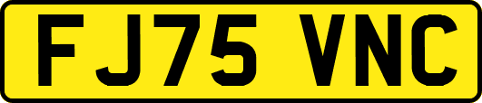 FJ75VNC