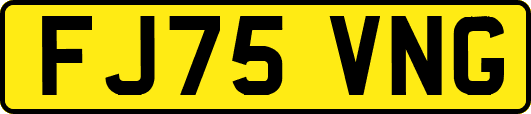 FJ75VNG