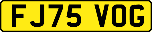 FJ75VOG